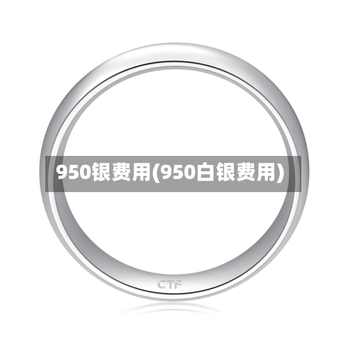 950银费用(950白银费用)