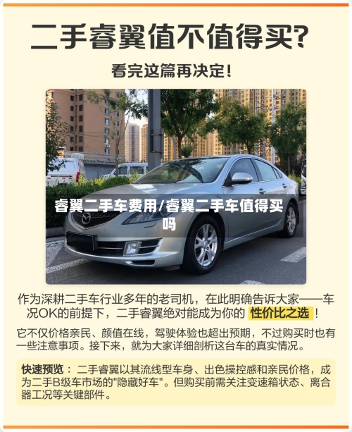 睿翼二手车费用/睿翼二手车值得买吗