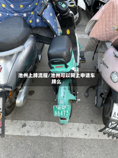 池州上牌流程/池州可以网上申请车牌么-第2张图片