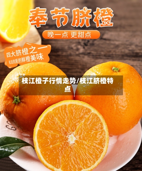 枝江橙子行情走势/枝江脐橙特点-第2张图片