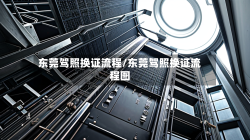 东莞驾照换证流程/东莞驾照换证流程图-第3张图片