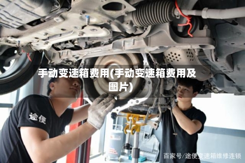 手动变速箱费用(手动变速箱费用及图片)-第2张图片