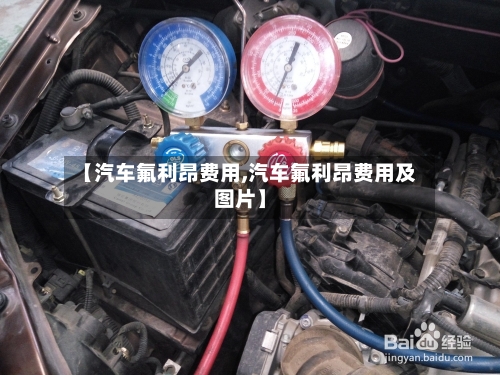 【汽车氟利昂费用,汽车氟利昂费用及图片】-第2张图片