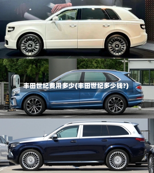 丰田世纪费用多少(丰田世纪多少钱?)-第2张图片