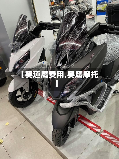 【赛道鹰费用,赛鹰摩托】-第3张图片