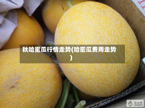 秋哈蜜瓜行情走势(哈密瓜费用走势)